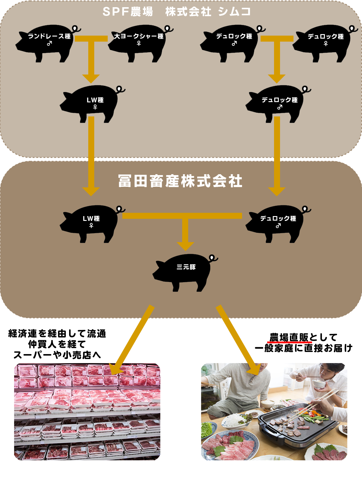 農場紹介 冨田畜産株式会社